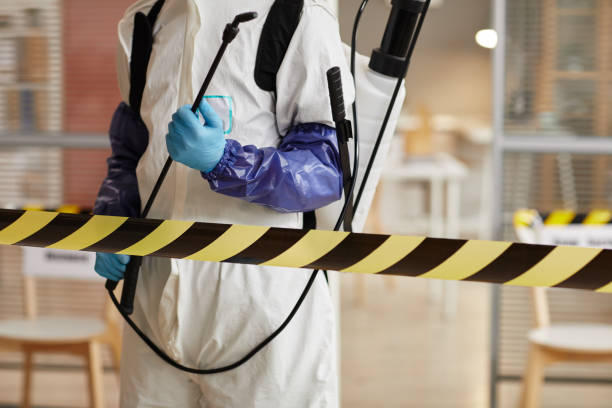 Professional Sewage Cleanup technician working in Waco, NE